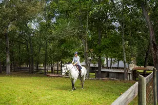 149 Pine Hollow Dr, Aiken, SC 29803 - Photo 47