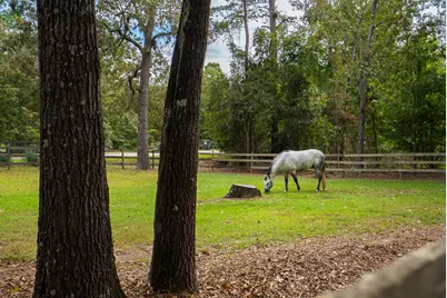 149 Pine Hollow Drive, Aiken, SC 29803 - Photo 63