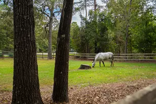 149 Pine Hollow Dr, Aiken, SC 29803 - Photo 63