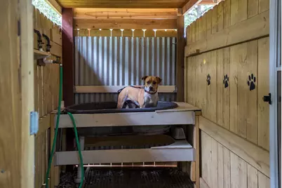 149 Pine Hollow Drive, Aiken, SC 29803 - Photo 41