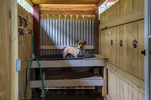 149 Pine Hollow Dr, Aiken, SC 29803 - Photo 41