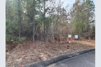 Lot 27 Misty River Trail, Windsor, SC 29856 - Photo 7