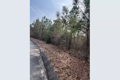 Lot 27 Misty River Trail, Windsor, SC 29856 - Photo 3