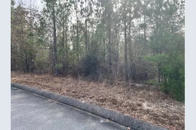 Lot 27 Misty River Trail, Windsor, SC 29856 - Photo 1