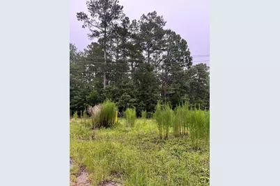 Tract A Varden Drive, Aiken, SC 29803 - Photo 3