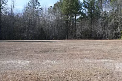 550 Old Shoals Road, Monetta, SC 29105 - Photo 57