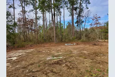 1014 Hull Lane, Williston, SC 29853 - Photo 15