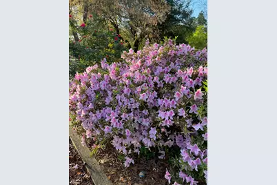 2138 Joyner Pond Road, Aiken, SC 29803 - Photo 35