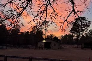 2138 Joyner Pond Rd, Aiken, SC 29803 - Photo 33