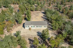 97 Long Branch Rd, Salley, SC 29137 - Photo 3