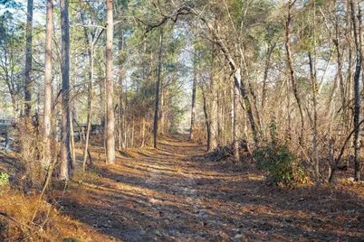 9673 Bayboro Circle, Aiken, SC 29803 - Photo 89