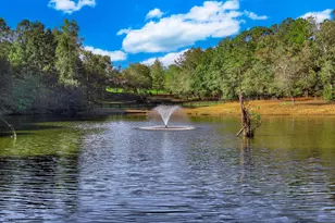 301 Chime Bell Church Rd, Aiken, SC 29803 - Photo 37