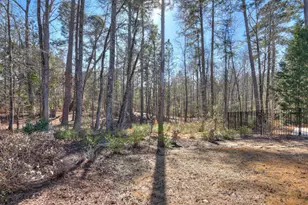 260 Pink Dogwood Cir, Aiken, SC 29803 - Photo 35