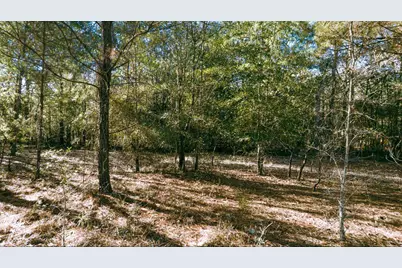 225 Weyerhaeuser Road, Aiken, SC 29801 - Photo 23