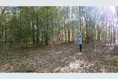 225 Weyerhaeuser Road, Aiken, SC 29801 - Photo 21