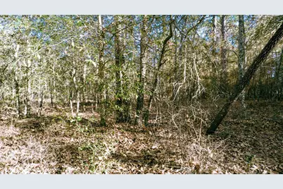 225 Weyerhaeuser Road, Aiken, SC 29801 - Photo 19