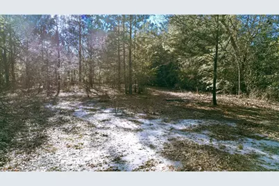 225 Weyerhaeuser Road, Aiken, SC 29801 - Photo 25