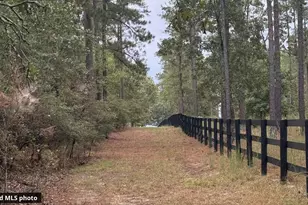 463 Anderson Pond Rd, Aiken, SC 29803 - Photo 95
