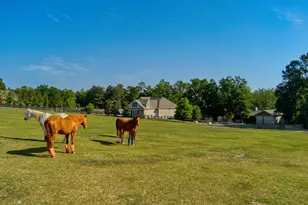 463 Anderson Pond Rd, Aiken, SC 29803 - Photo 5