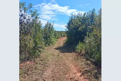 3A Bowie Road, Troy, SC 29848 - Photo 3