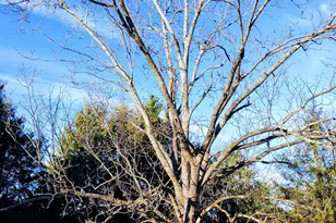 508 E Wise Street E, Trenton, SC 29847 - Photo 35