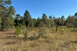 7A Pearl Bonnett, Windsor, SC 29856 - Photo 1