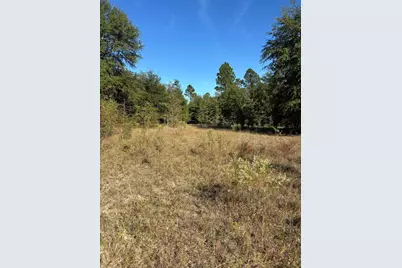 7A Pearl Bonnett, Windsor, SC 29856 - Photo 9