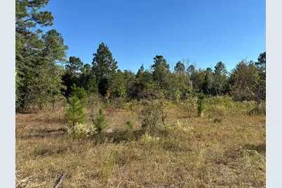 7B Pearl Bonnett, Windsor, SC 29856 - Photo 1