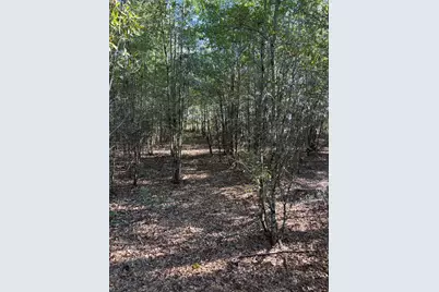 7B Pearl Bonnett, Windsor, SC 29856 - Photo 13