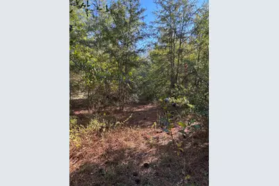 7B Pearl Bonnett, Windsor, SC 29856 - Photo 11