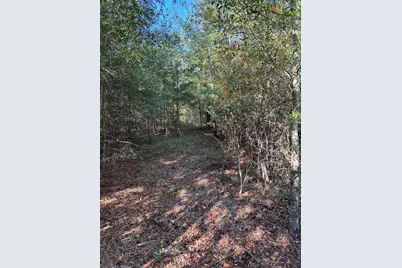 7B Pearl Bonnett, Windsor, SC 29856 - Photo 17