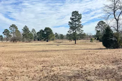 1166 Bethcar Church Road, Wagener, SC 29164 - Photo 7