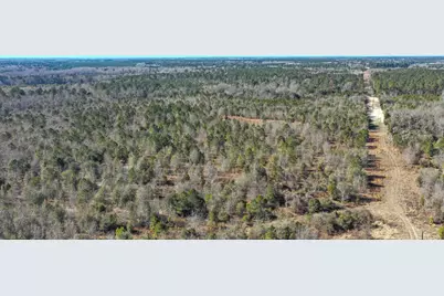 000 Hwy 78, Williston, SC 29853 - Photo 11