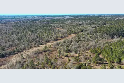 000 Hwy 78, Williston, SC 29853 - Photo 7