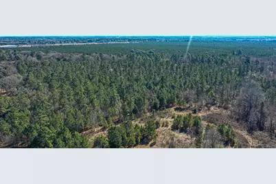 000 Hwy 78, Williston, SC 29853 - Photo 9