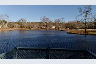 2036 Colony Drive, Orangeburg, SC 29115 - Photo 27