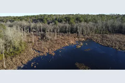 00 Millers Pond Road, Wagener, SC 29164 - Photo 9