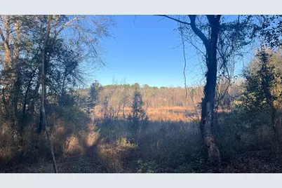 00 Millers Pond Road, Wagener, SC 29164 - Photo 19