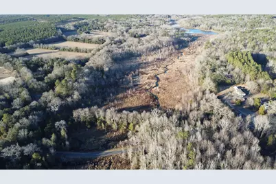 00 Millers Pond Road, Wagener, SC 29164 - Photo 3