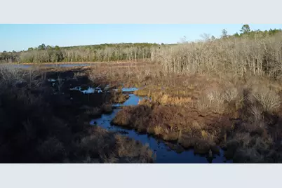 00 Millers Pond Road, Wagener, SC 29164 - Photo 7