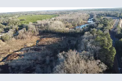 00 Millers Pond Road, Wagener, SC 29164 - Photo 5