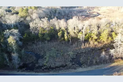 00 Millers Pond Road, Wagener, SC 29164 - Photo 11