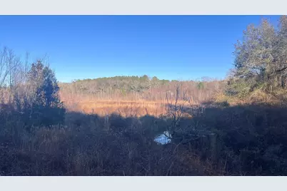 00 Millers Pond Road, Wagener, SC 29164 - Photo 23