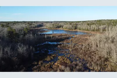 00 Millers Pond Road, Wagener, SC 29164 - Photo 1