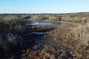 00 Millers Pond Rd, Wagener, SC 29164 - Photo 1