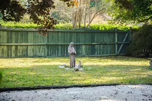 403 Banks Mill Rd SE, Aiken, SC 29803 - Photo 51