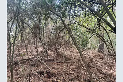 Tbd Robinson Drive NW, New Ellenton, SC 29809 - Photo 7