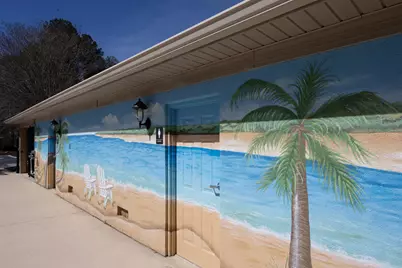 534 Long Shadow Drive, Aiken, SC 29803 - Photo 59