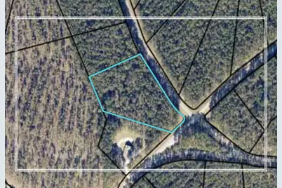Lot 83A Providence Ferry, Lincolnton, GA 30817 - Photo 1
