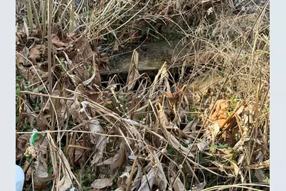 44 Carolina Springs Spur, North Augusta, SC 29841 - Photo 11